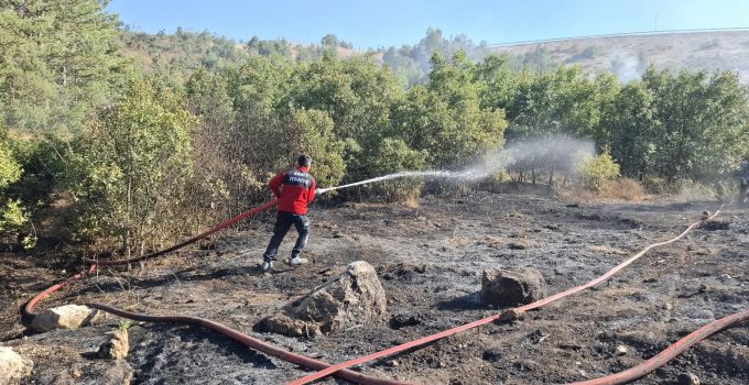 Dağlık alanda çıkan orman yangını büyümeden söndürüldü