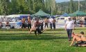İlk kez düzenlenen Pazarlar Yağlı Güreşleri nefes kesti