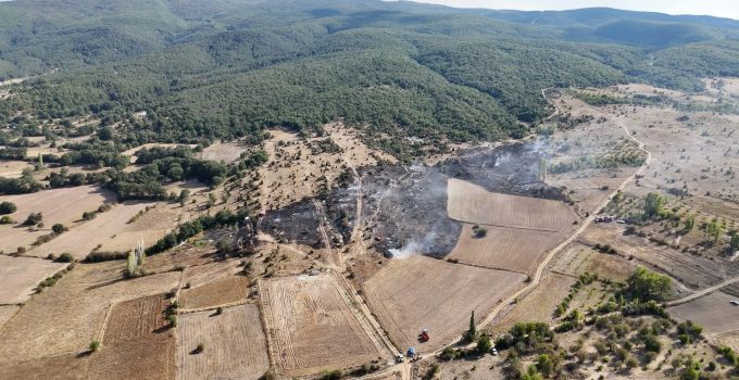 BAHÇEDE ÇIKAN YANGIN ORMANA SIÇRAMADAN SÖNDÜRÜLDÜ