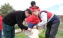 Hayır şartı yerine getirildi, sahipsiz hayvanlara mama desteği sağlandı