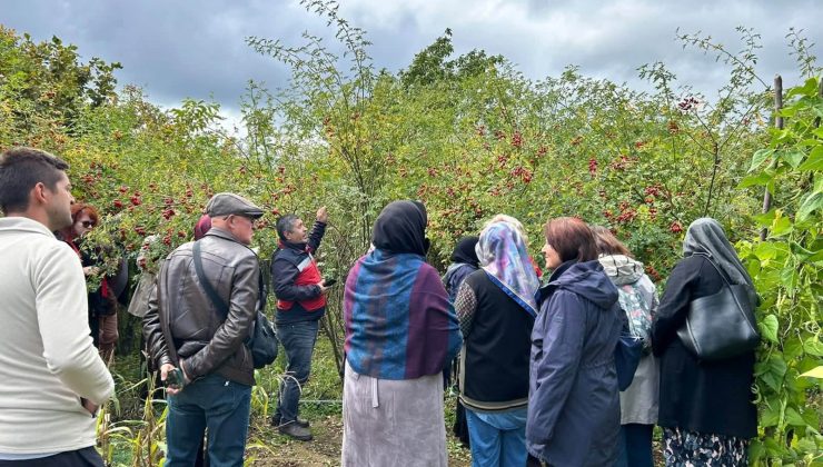 Eskişehirli kadın çiftçiler Kütahya’daki üretim alanlarında bilgilendirildi
