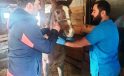 Kütahya’da doğan safkan Arap taylarının tescil işlemleri yapıldı