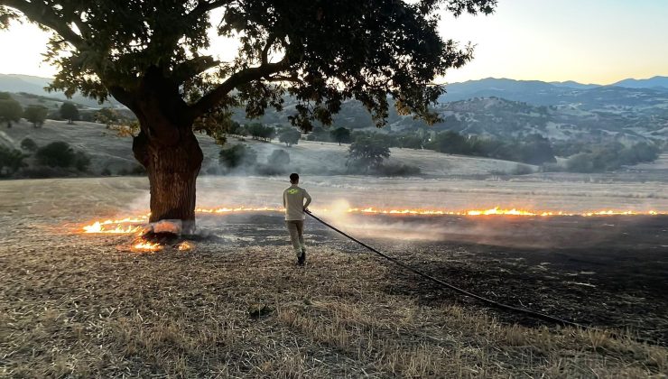 Anız yangınında 1 hektar alan zarar gördü