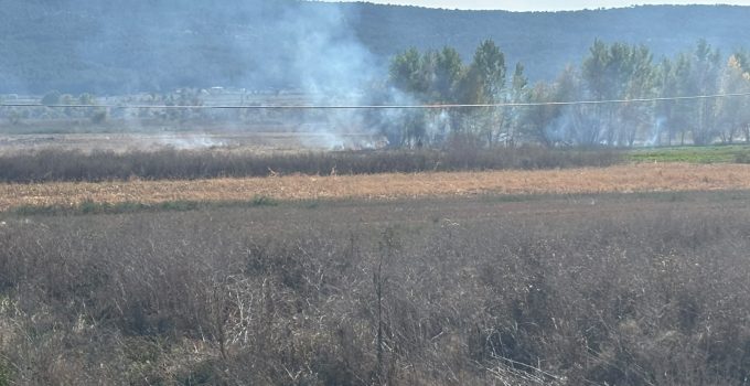 Arazi yangını büyümeden kontrol altına alındı