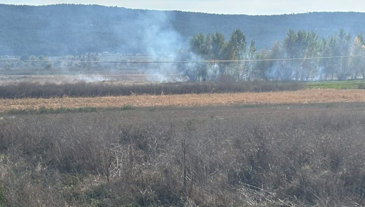 Arazi yangını büyümeden kontrol altına alındı