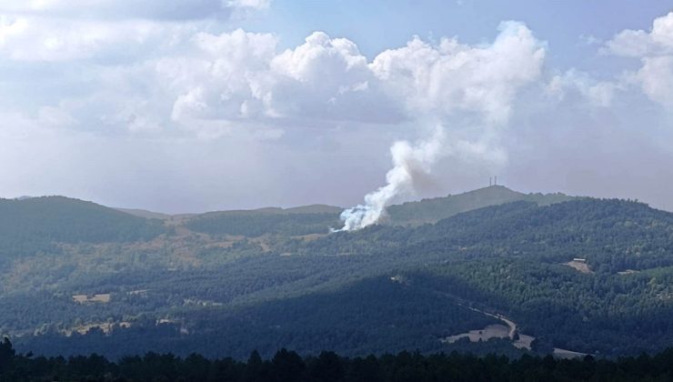 Otluk alanda başlayan yangın ormana sıçradı, 6 dekar alan zarar gördü