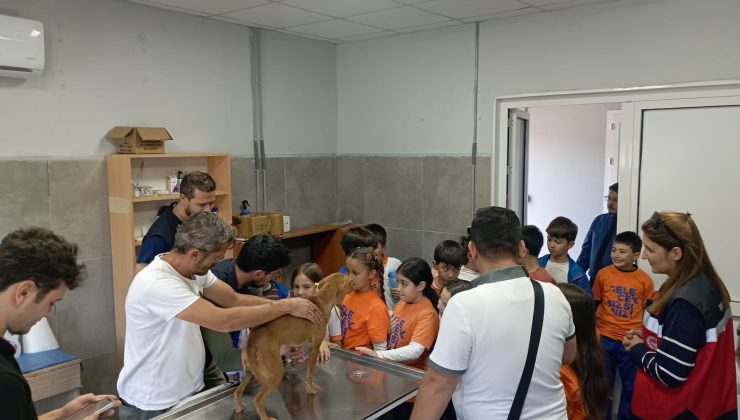 Simav Şeref Koleji öğrencilerinden KUSHAYKOB hayvan bakımevine ziyaret